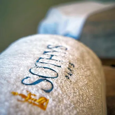 酒店 Hotel Golden Tulip Dieppe 4*
